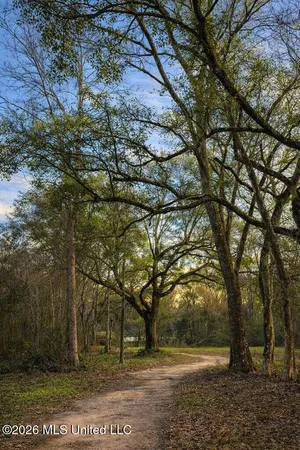 $250,000 | 14-acres F Z Goss Road, Picayune, MS 39466