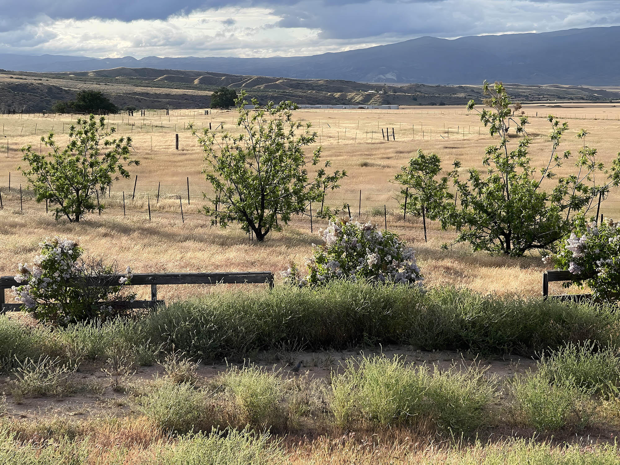 2170-7451 Aliso Park Road Cuyama, CA 93254 - Photo 58 of 72 a view of a lake from a yard