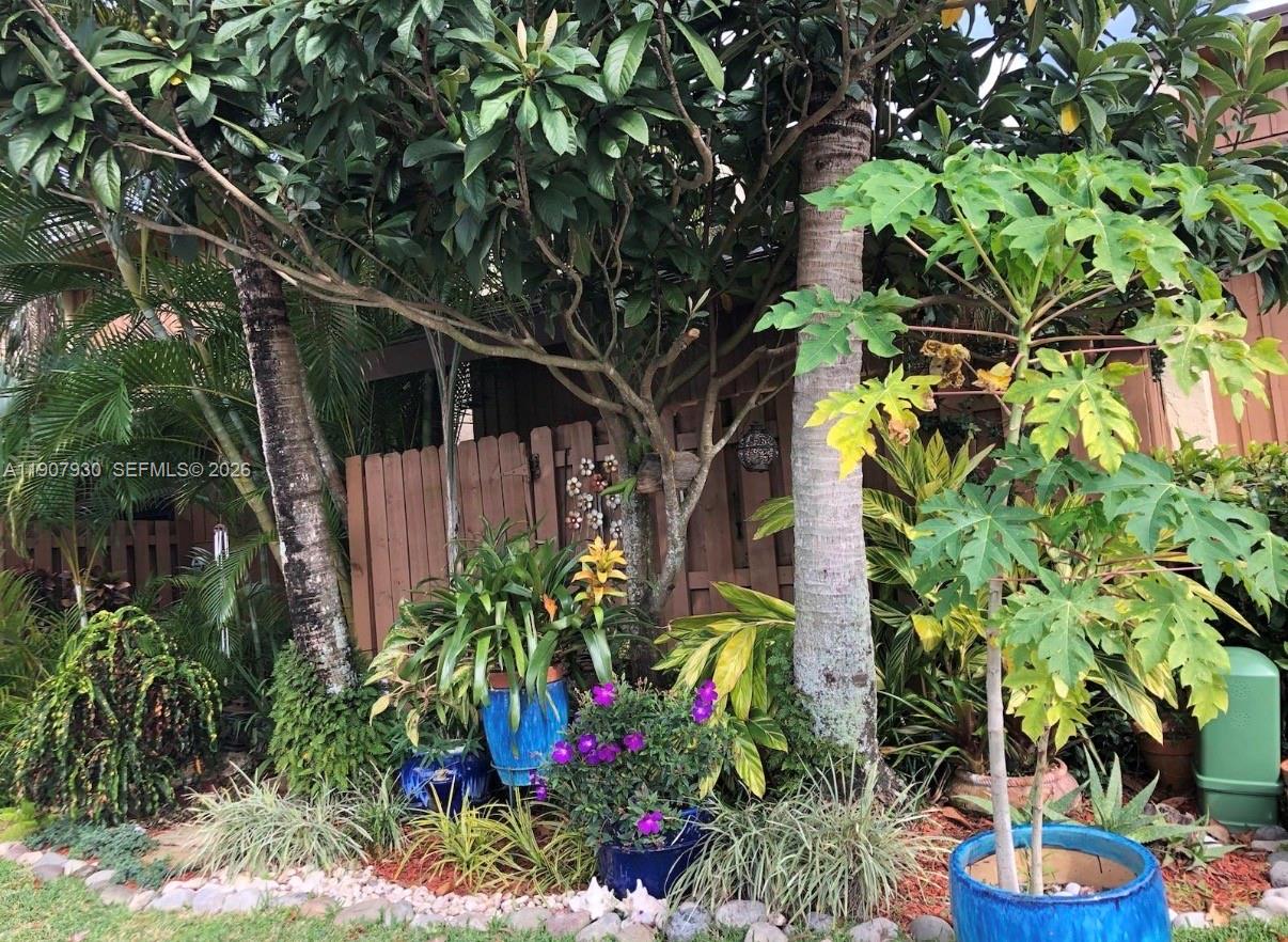 4222 Southwest 87th Terrace Davie, FL 33328 - Photo 4 of 85 a backyard of a house with lots of green space