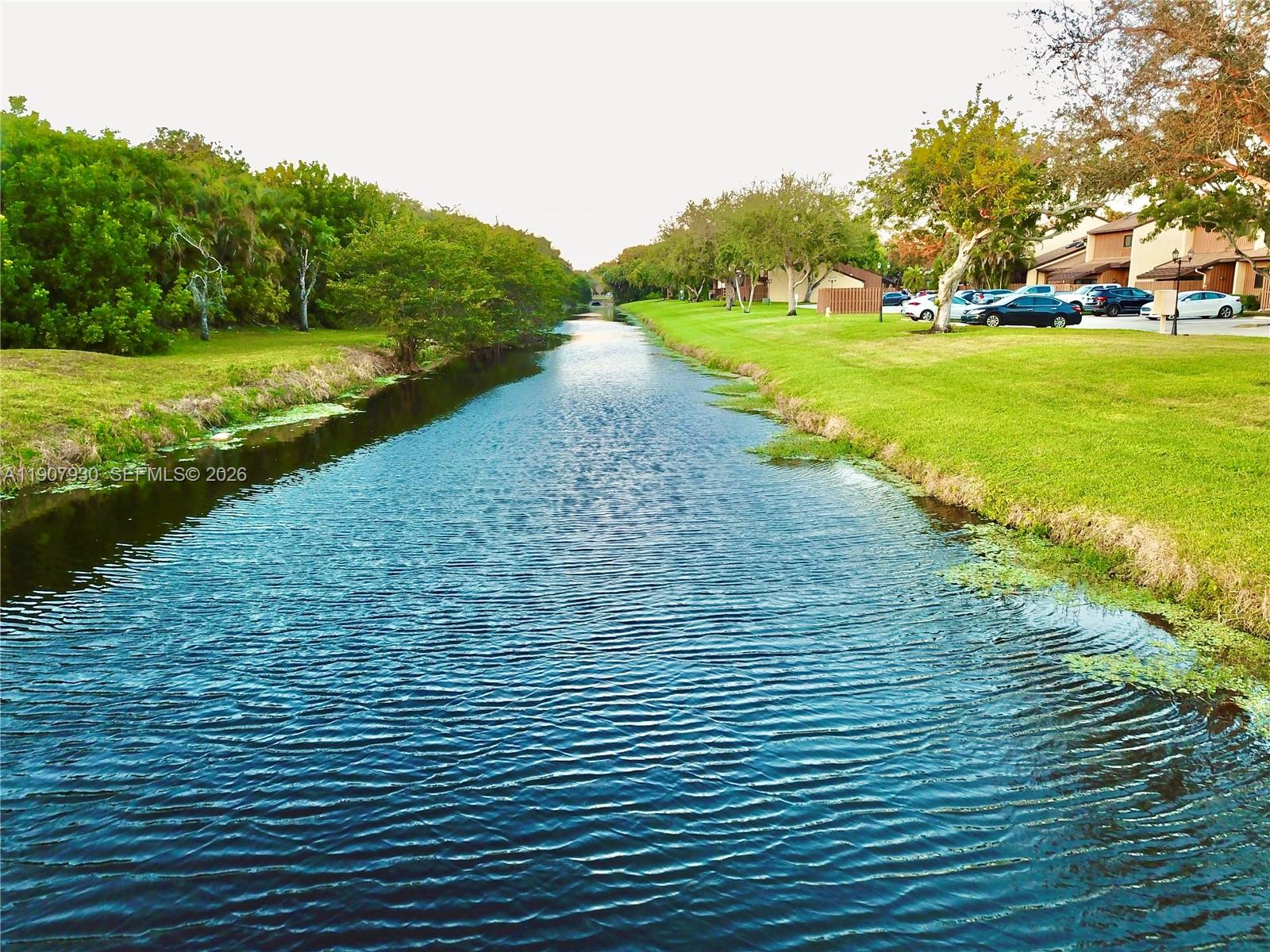 4222 Southwest 87th Terrace Davie, FL 33328 - Photo 85 of 85 The peaceful Front yard canal