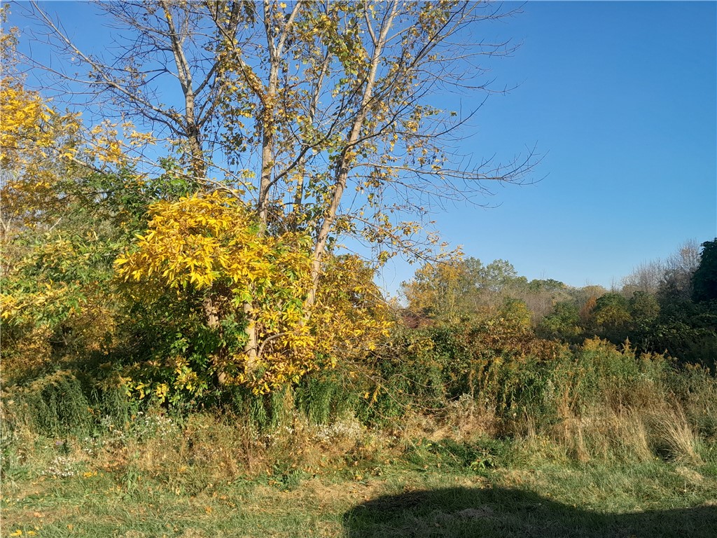 0 Ridge Chapel Road Marion, NY 14505 - Photo 2 of 2