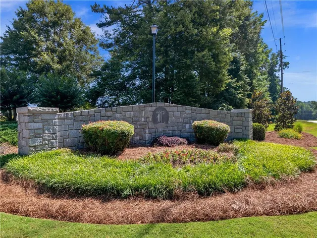 a view of a backyard with plants and large tree