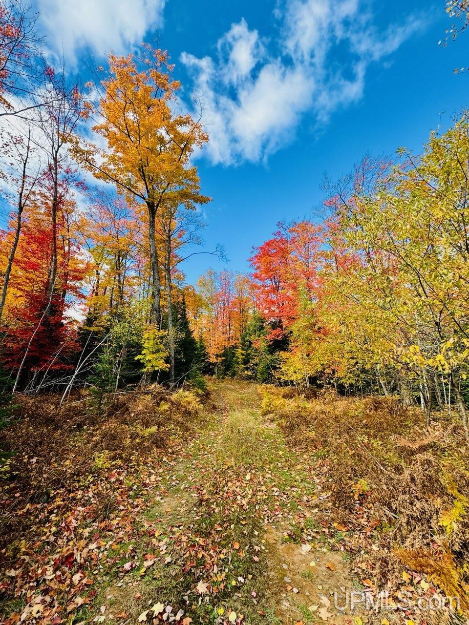 Lot #3 Maple Ridge Road Negaunee, MI 49866 - Photo 3 of 8