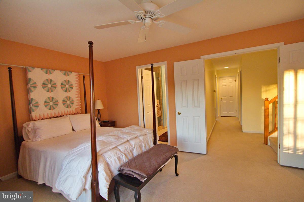 5237 Columbia Road, Unit 569 Columbia, MD 21044 - Photo 11 of 30 Bedroom (Master) - ceiling fan