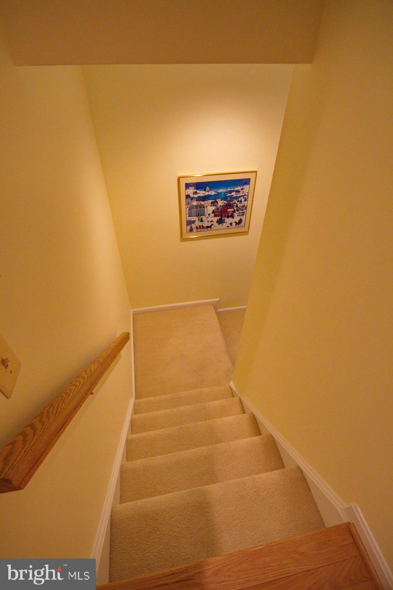5237 Columbia Road, Unit 569 Columbia, MD 21044 - Photo 20 of 30 Interior (General) - stairway to basement