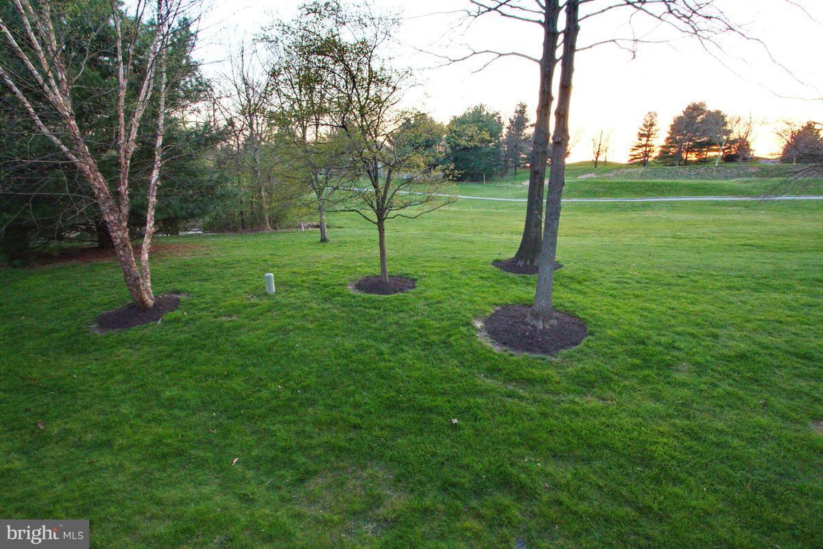 5237 Columbia Road, Unit 569 Columbia, MD 21044 - Photo 25 of 30 Exterior (Rear) - golf course view