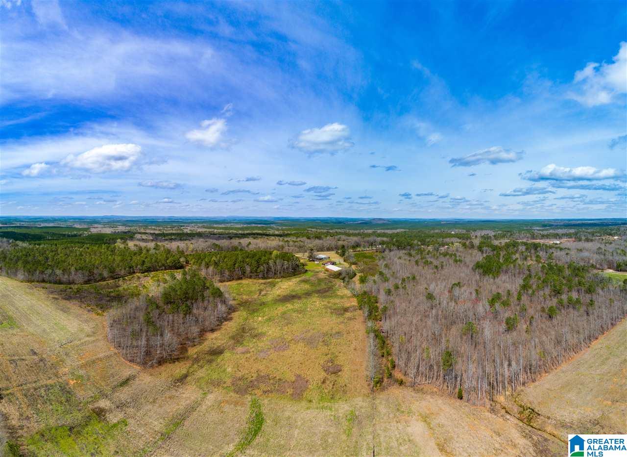 4199 Cowpens Road Alexander City, AL 35010 - Photo 12 of 50