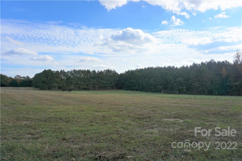 6 /- Ac Armenia Road Chester, SC 29706 - Photo 8 of 9 a view of outdoor space and yard