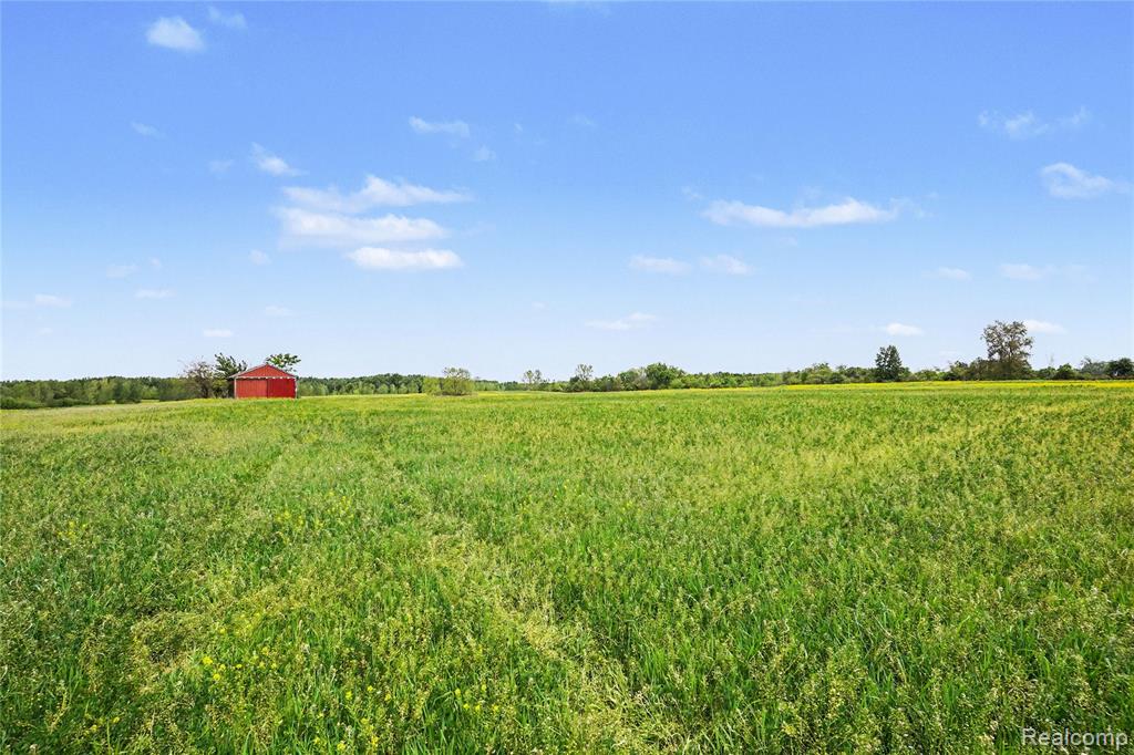 6018 Lahring Road Linden, MI 48451 - Photo 5 of 8