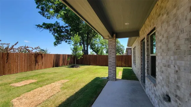 a view of a backyard with a tree