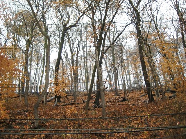 136 Main Street, Unit 301 McGregor, IA 52157 - Photo 32 of 33