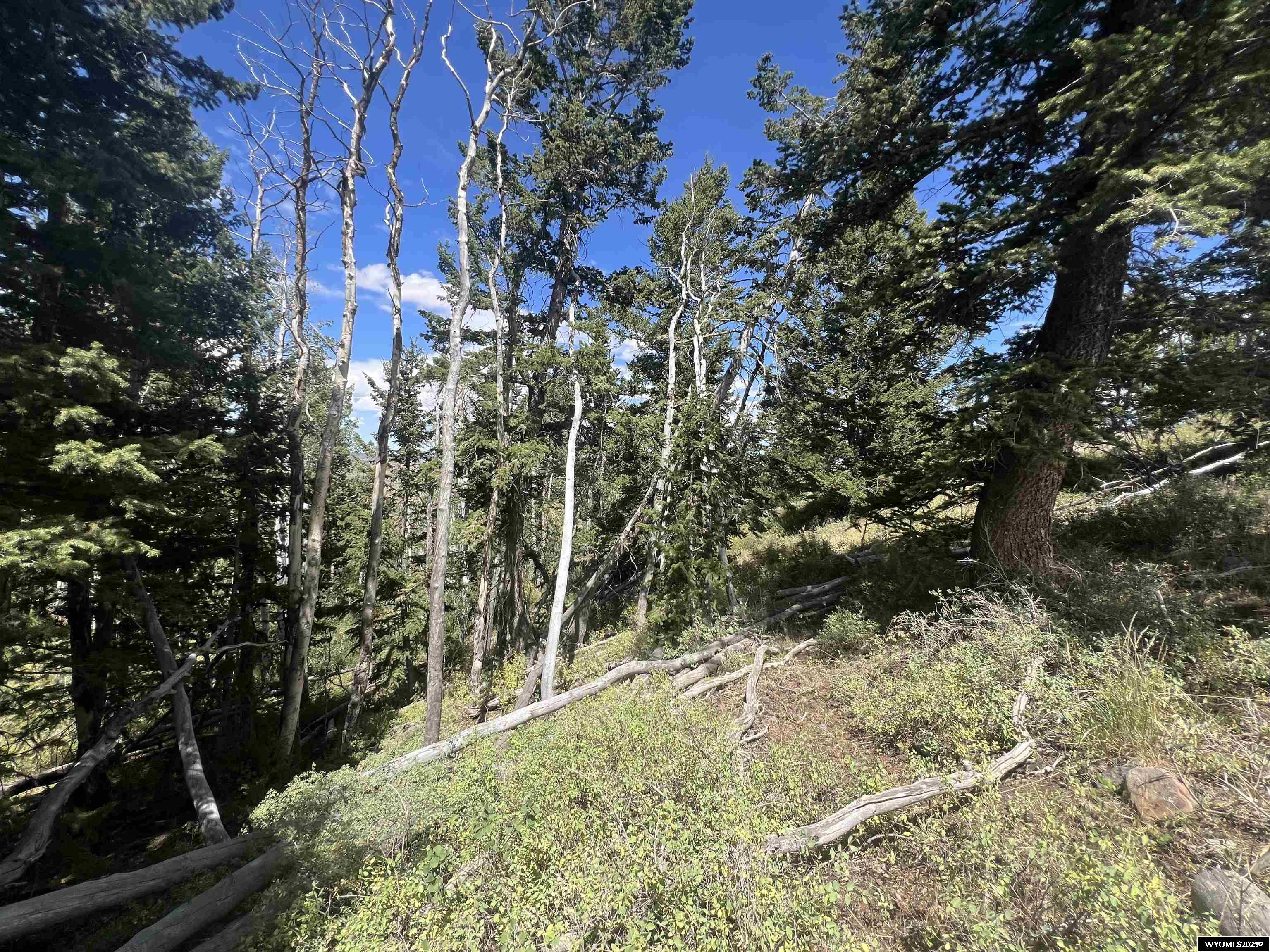 567 Rocky Top Road Robertson, WY 82944 - Photo 5 of 9