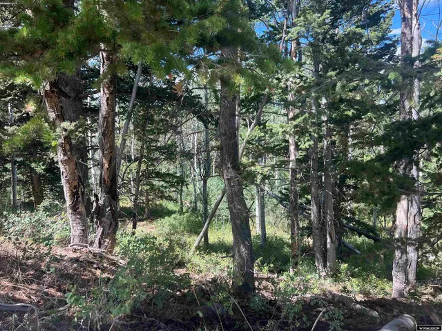 $220,000 | 567 Rocky Top Road, Robertson, WY 82944