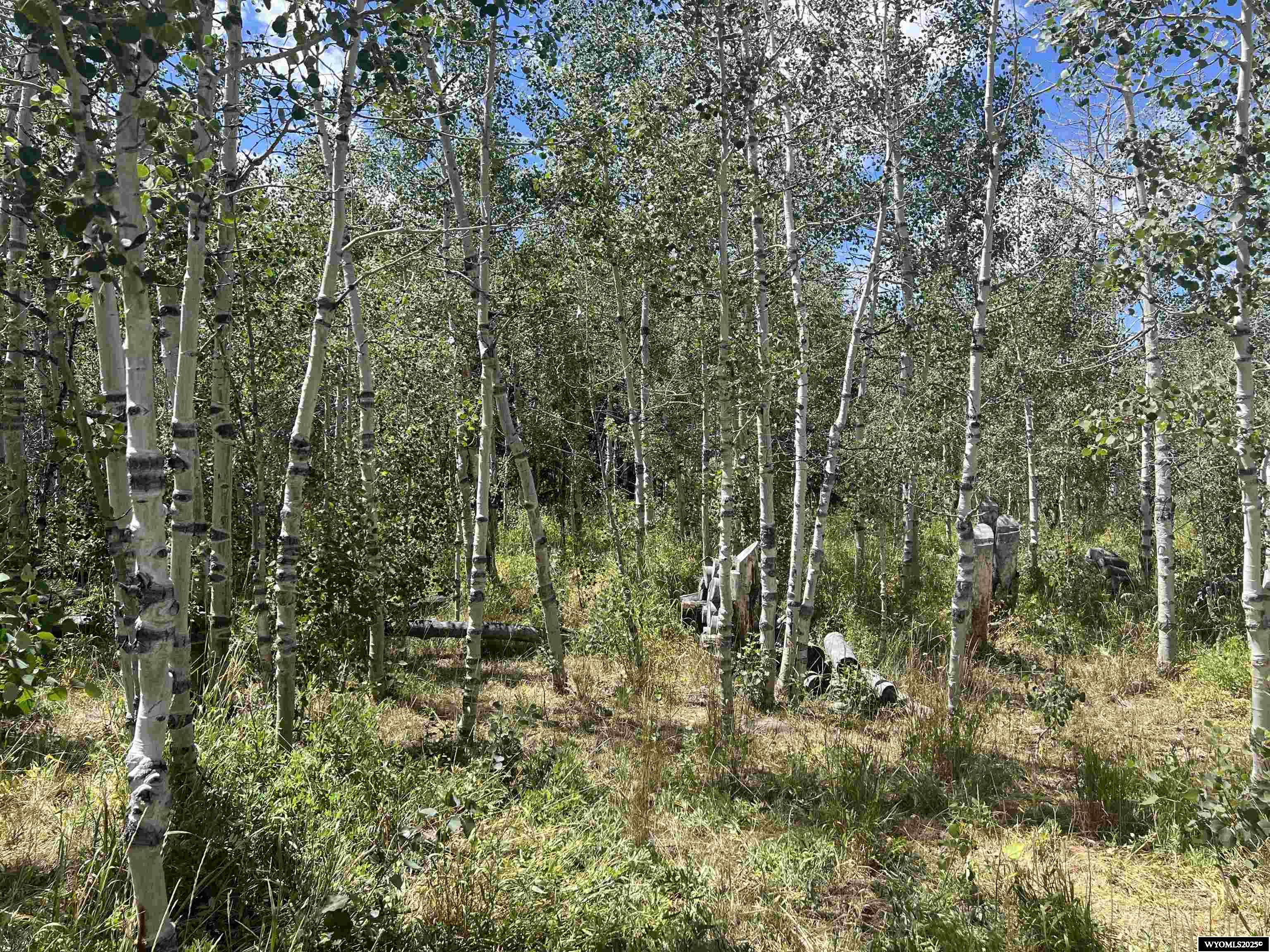 567 Rocky Top Road Robertson, WY 82944 - Photo 8 of 9