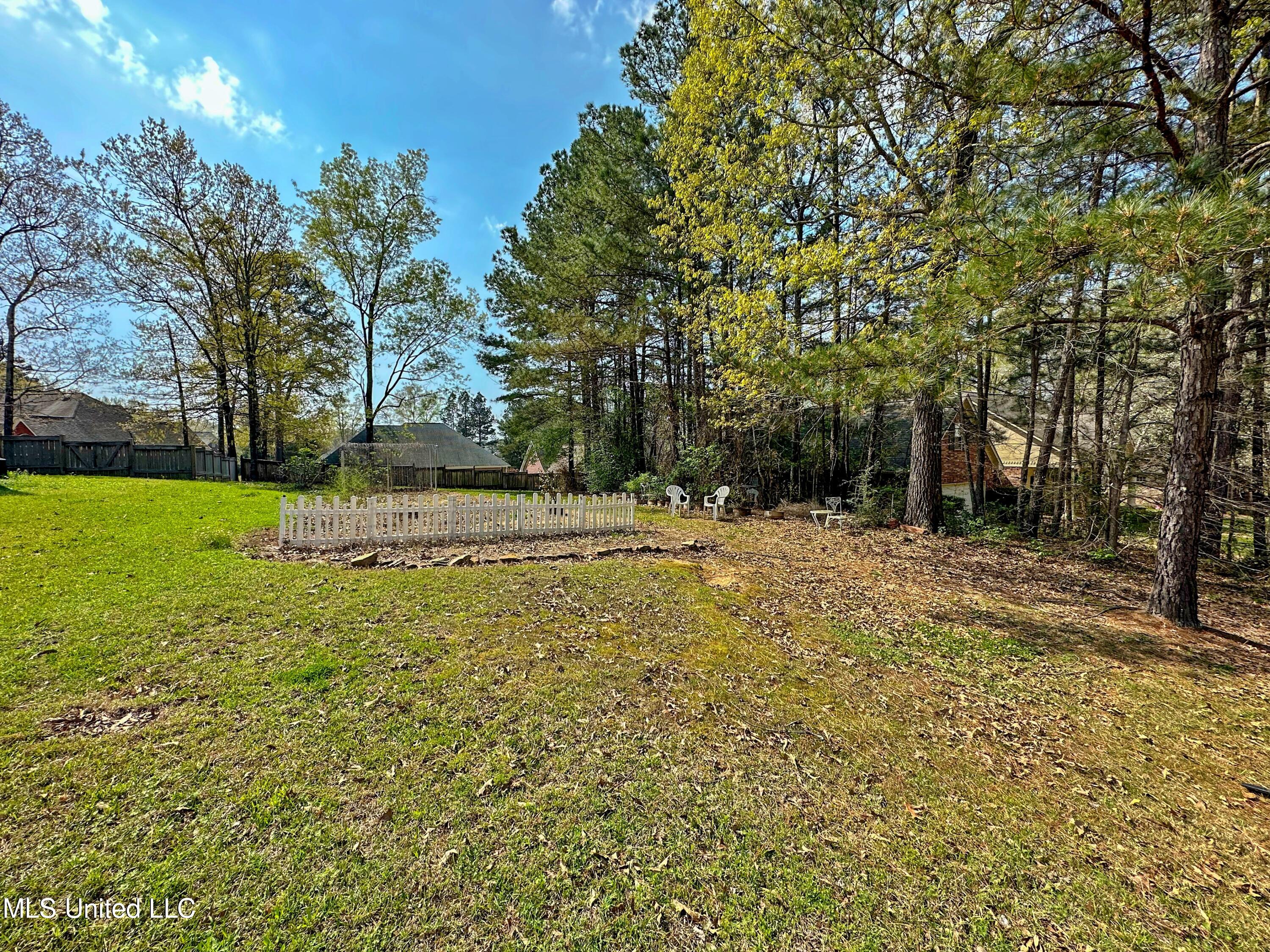 0 Moselle Drive Clinton, MS 39056 - Photo 2 of 4 0 Moselle Lot
