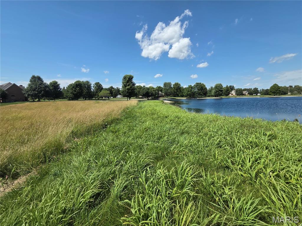1053 Country Club Lane Waterloo, IL 62298 - Photo 4 of 6