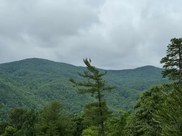 a view of a field
