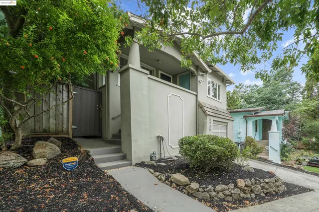 a view of a backyard with plants and a tree