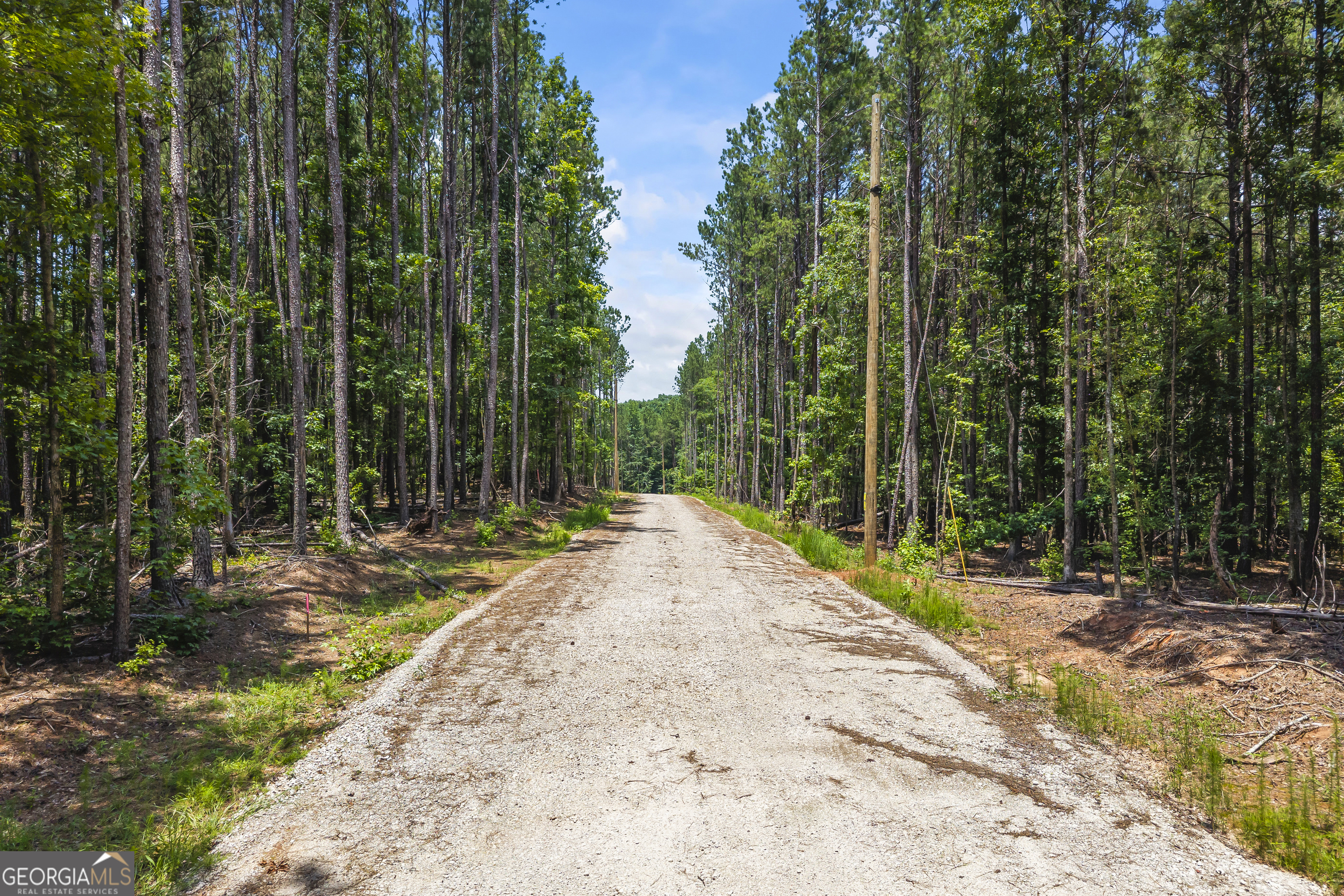 0 Tall Oaks Road, Unit LOT 4 Watkinsville, GA 30677 - Photo 2 of 17 a view of a yard with plants and trees