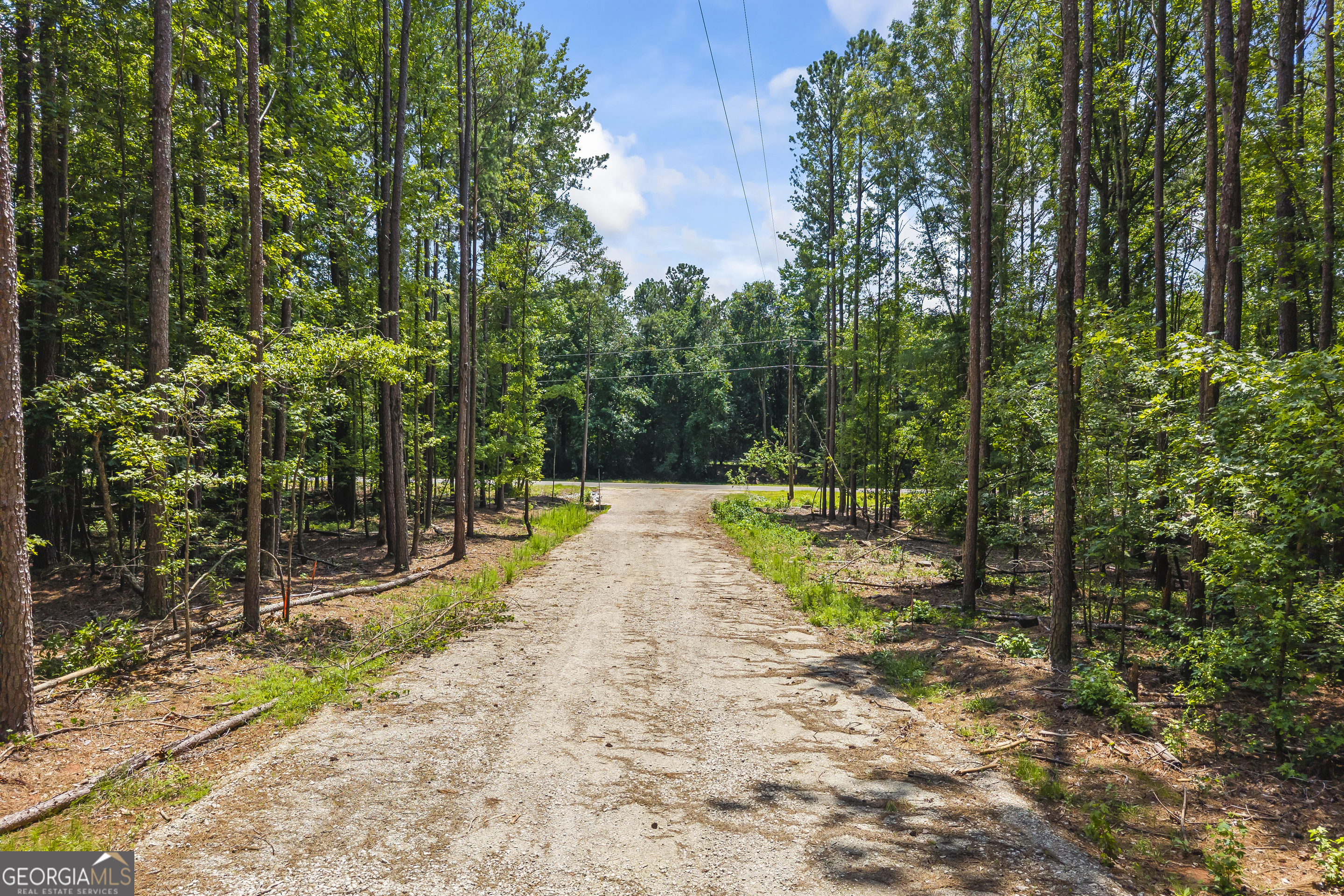 0 Tall Oaks Road, Unit LOT 4 Watkinsville, GA 30677 - Photo 3 of 17 a view of swimming pool with a patio