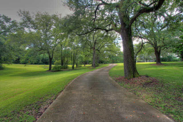 9075 Mosley Road Fairhope, AL 36532 - Photo 4 of 46
