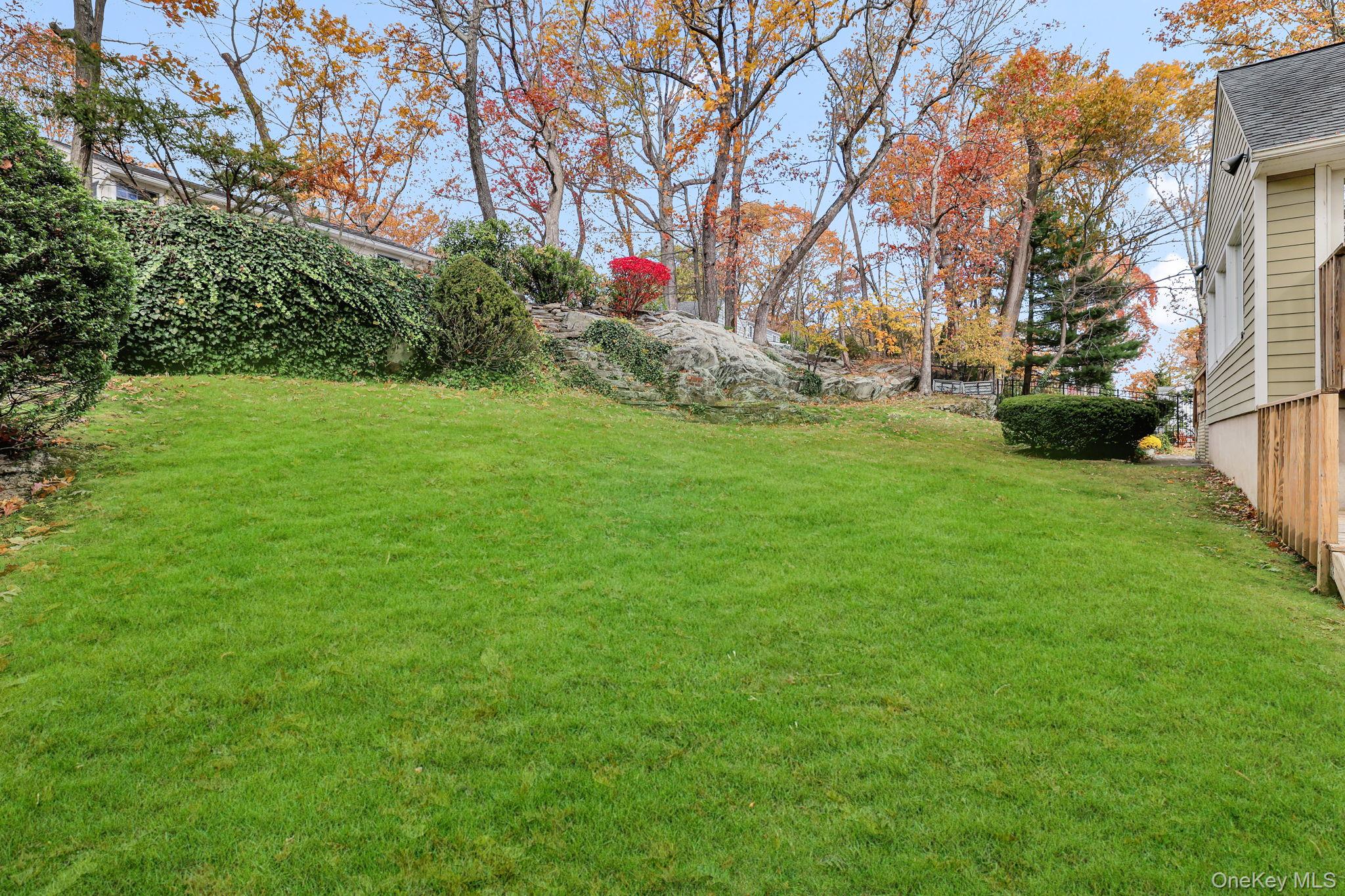 331 Old Colony Road Hartsdale, NY 10530 - Photo 41 of 45 a view of backyard with green space
