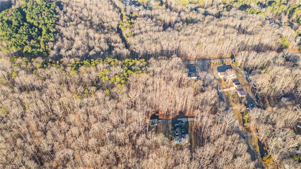 0 Fred Lineberry Road Randleman, NC 27317 - Photo 12 of 13 Gallery Image 12