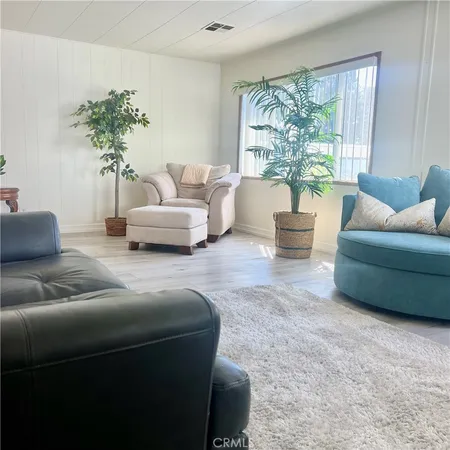 a living room with furniture and a potted plant
