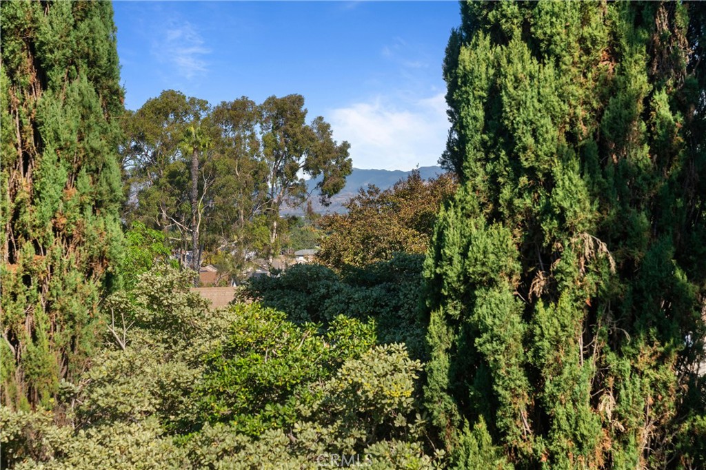 2121 Ronda Granada, Unit N Laguna Woods, CA 92637 - Photo 25 of 38 a view of a forest