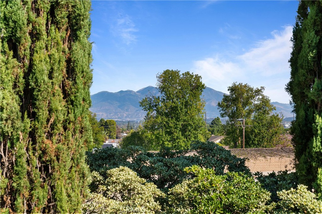 2121 Ronda Granada, Unit N Laguna Woods, CA 92637 - Photo 27 of 38 a view of a garden