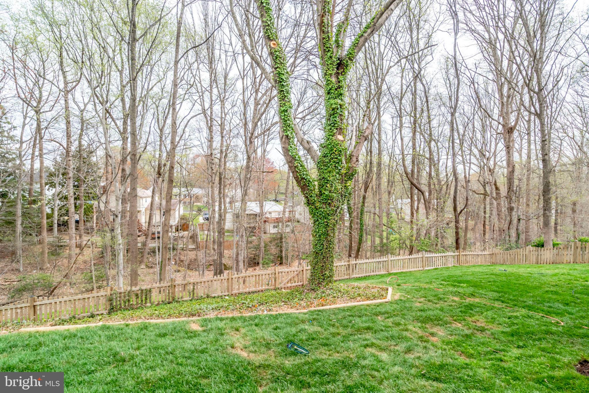 7923 St George Court Springfield, VA 22153 - Photo 41 of 42 Gallery Image 41