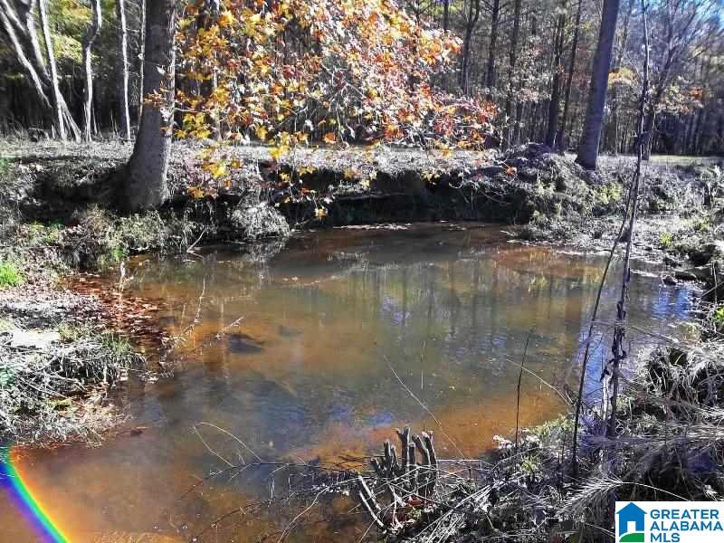 1850 Chapman Road Goodwater, AL 35072 - Photo 20 of 29