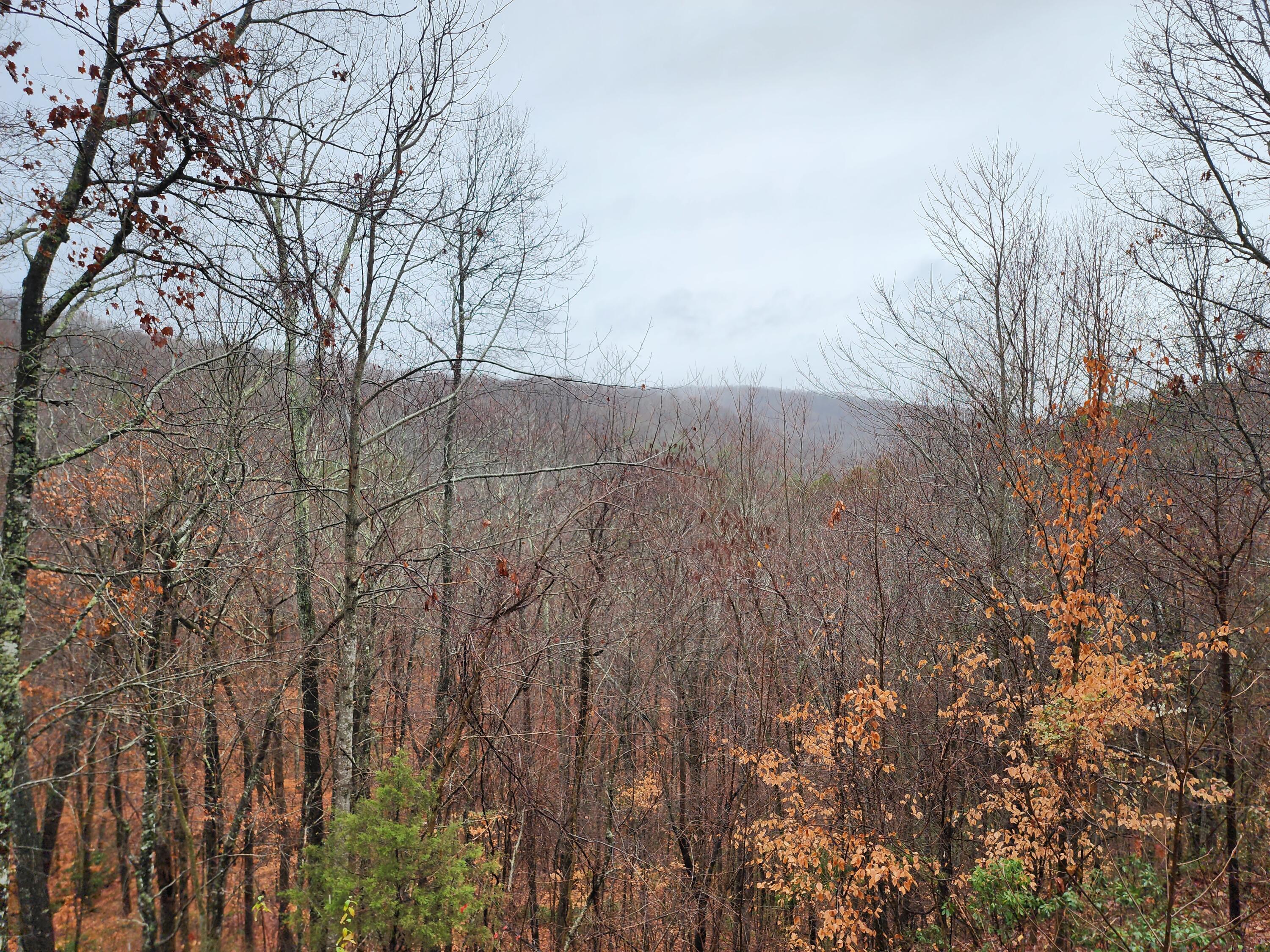 2141 Blue John Road Burnside, KY 42519 - Photo 26 of 32 20221206_145325