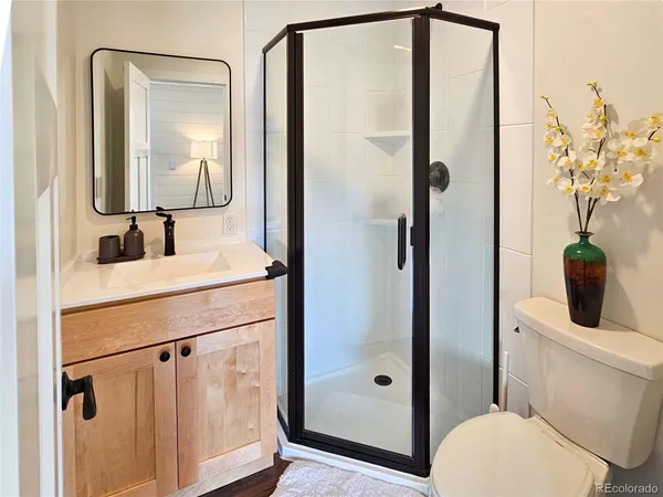 a bathroom with a granite countertop sink toilet and shower