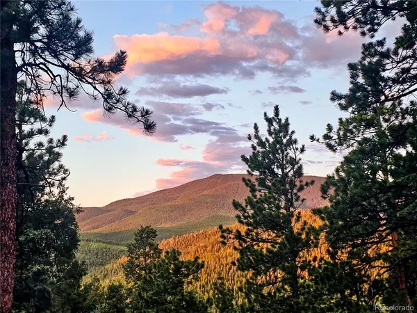 a view of a green field with lots of bushes