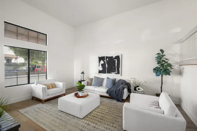 a living room with furniture and a potted plant
