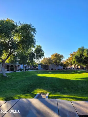 a view of a park with an ocean view