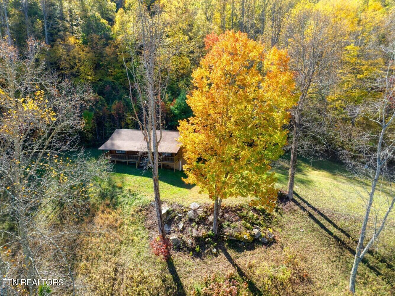 193 Smith Branch Road Roan Mountain, TN 37687 - Photo 14 of 46 680f919304dd7