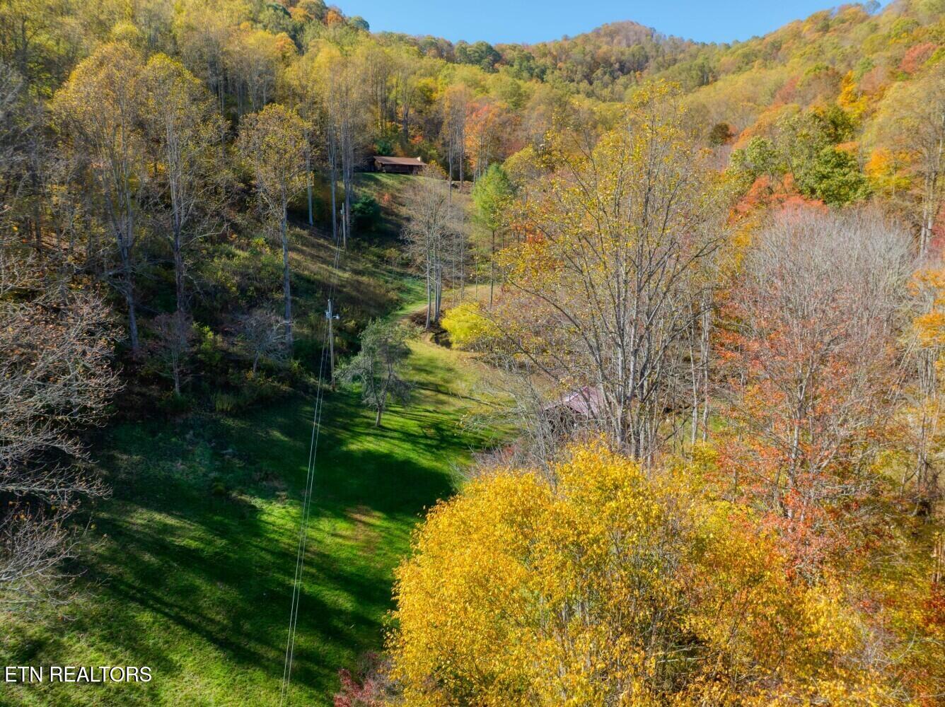 193 Smith Branch Road Roan Mountain, TN 37687 - Photo 17 of 46 680f9201e73e2