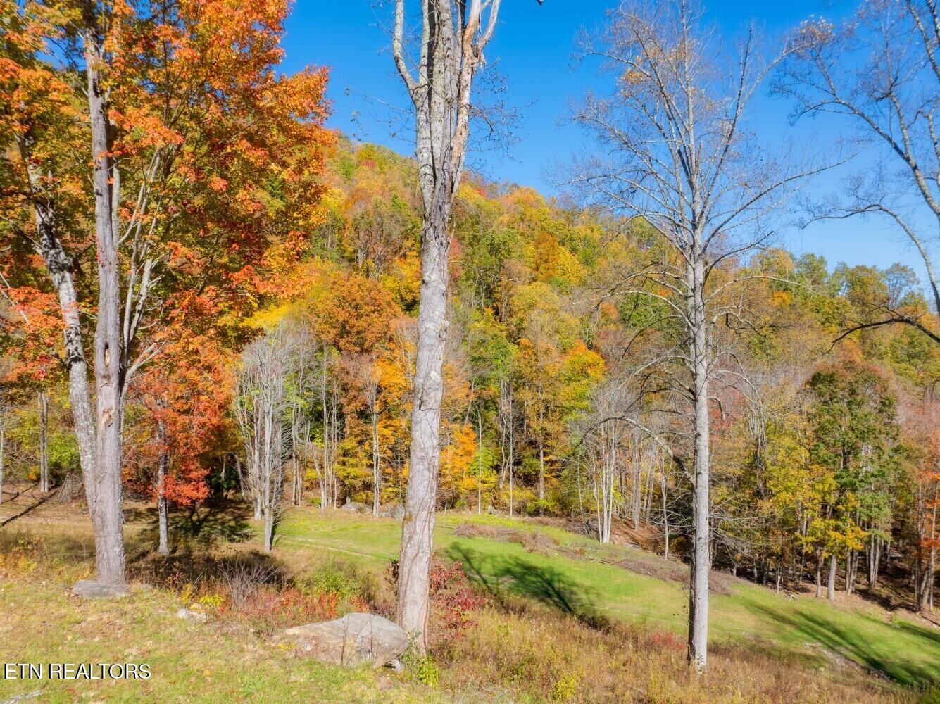 193 Smith Branch Road Roan Mountain, TN 37687 - Photo 21 of 46 680f93ec074ae
