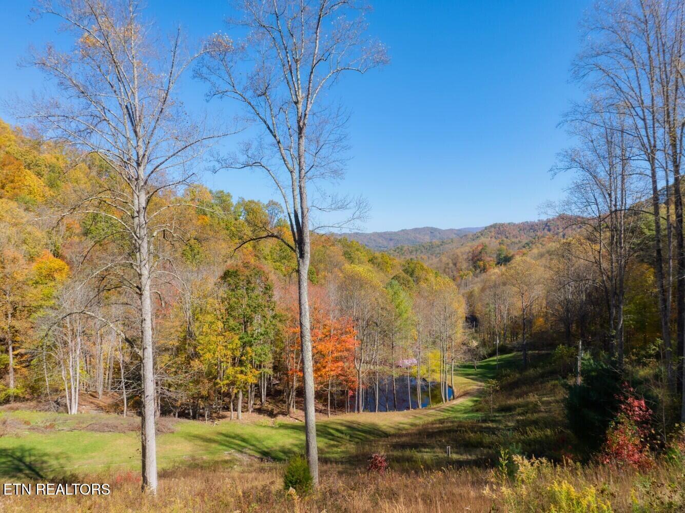 193 Smith Branch Road Roan Mountain, TN 37687 - Photo 22 of 46 680f93d9739be