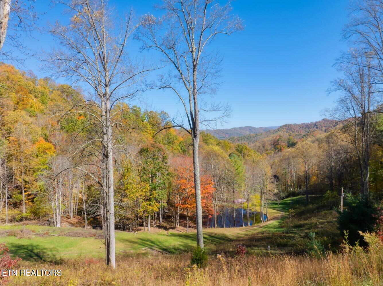 193 Smith Branch Road Roan Mountain, TN 37687 - Photo 23 of 46 680f9395a1562