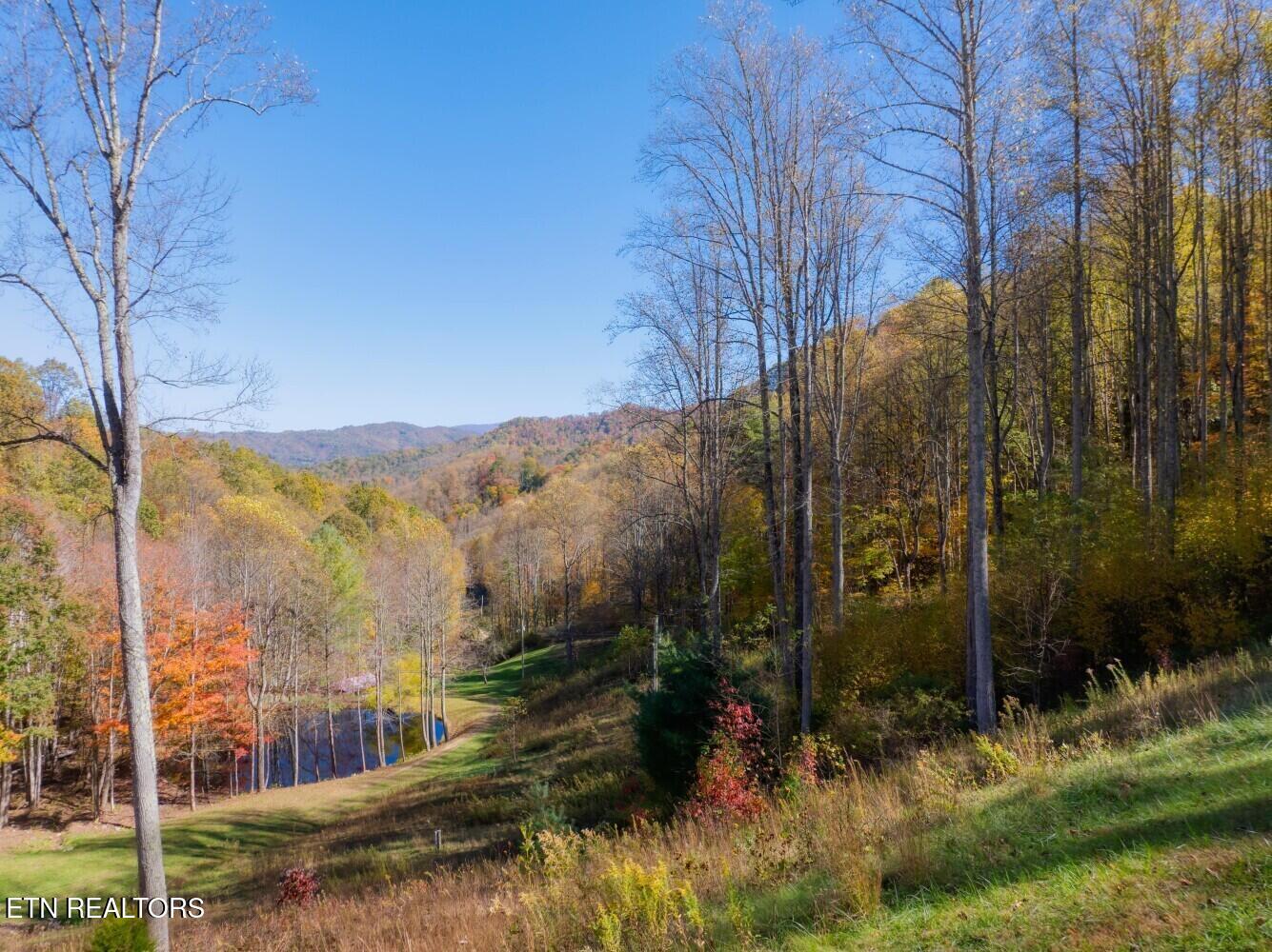 193 Smith Branch Road Roan Mountain, TN 37687 - Photo 24 of 46 680f93c5e102d