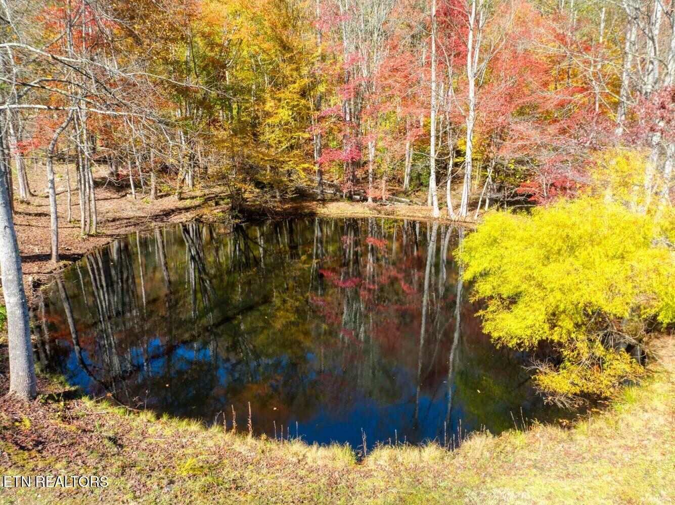 193 Smith Branch Road Roan Mountain, TN 37687 - Photo 25 of 46 680f91d17df2a
