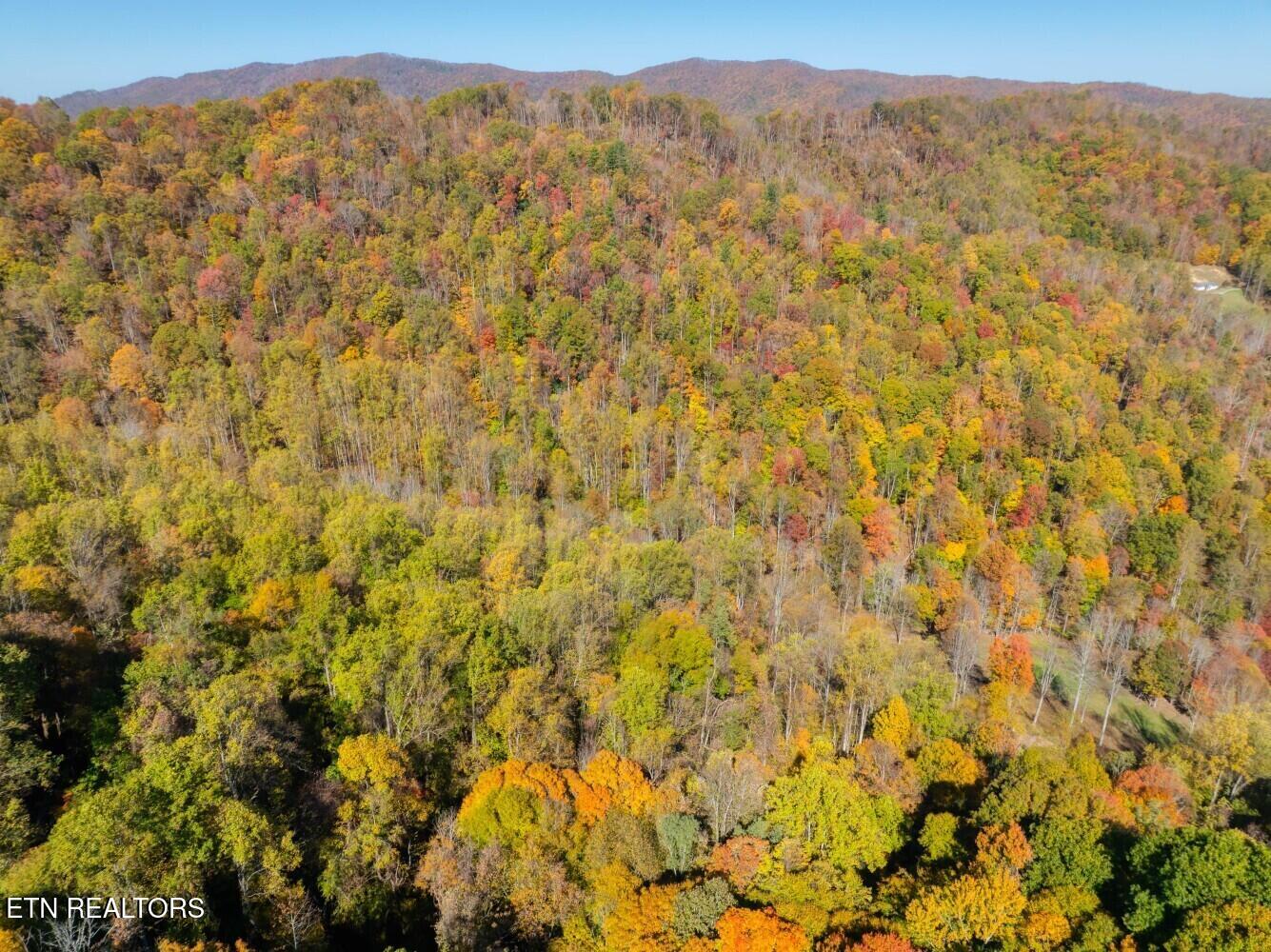 193 Smith Branch Road Roan Mountain, TN 37687 - Photo 27 of 46 680f941733567
