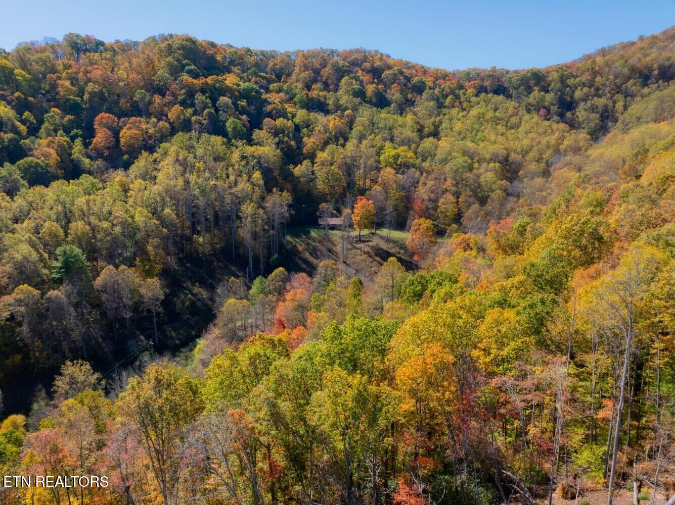 193 Smith Branch Road Roan Mountain, TN 37687 - Photo 28 of 46 680f91b577024