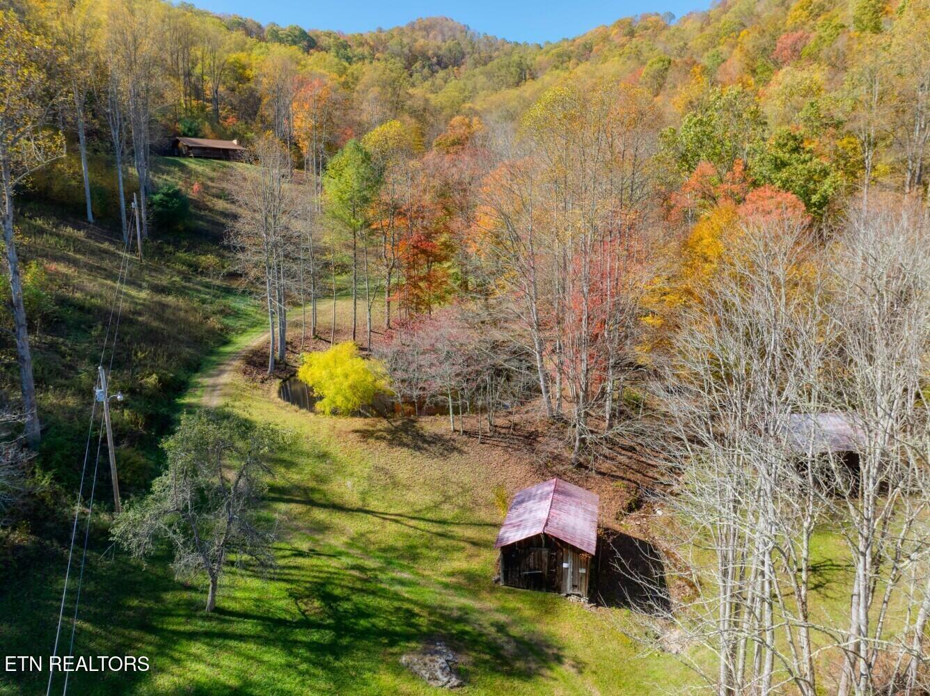 193 Smith Branch Road Roan Mountain, TN 37687 - Photo 3 of 46 680f920a191e6