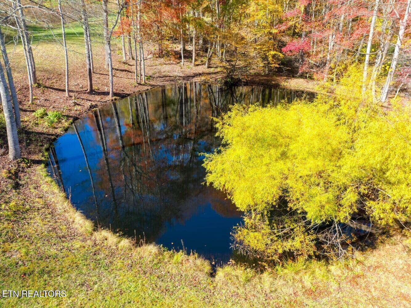 193 Smith Branch Road Roan Mountain, TN 37687 - Photo 5 of 46 680f91c86d586