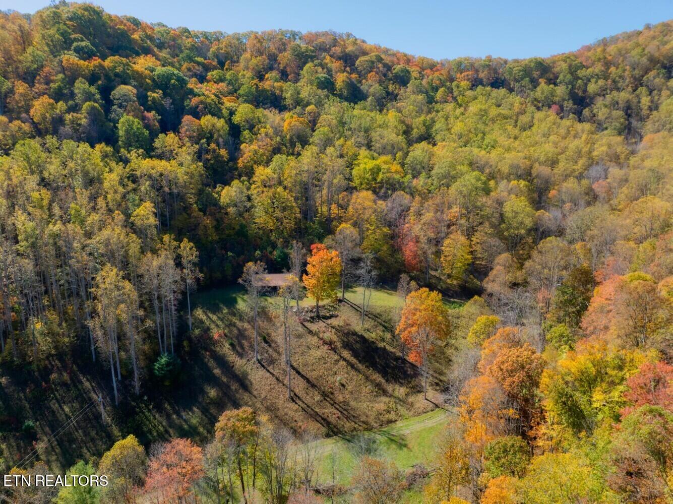 193 Smith Branch Road Roan Mountain, TN 37687 - Photo 6 of 46 680f91a42fc57