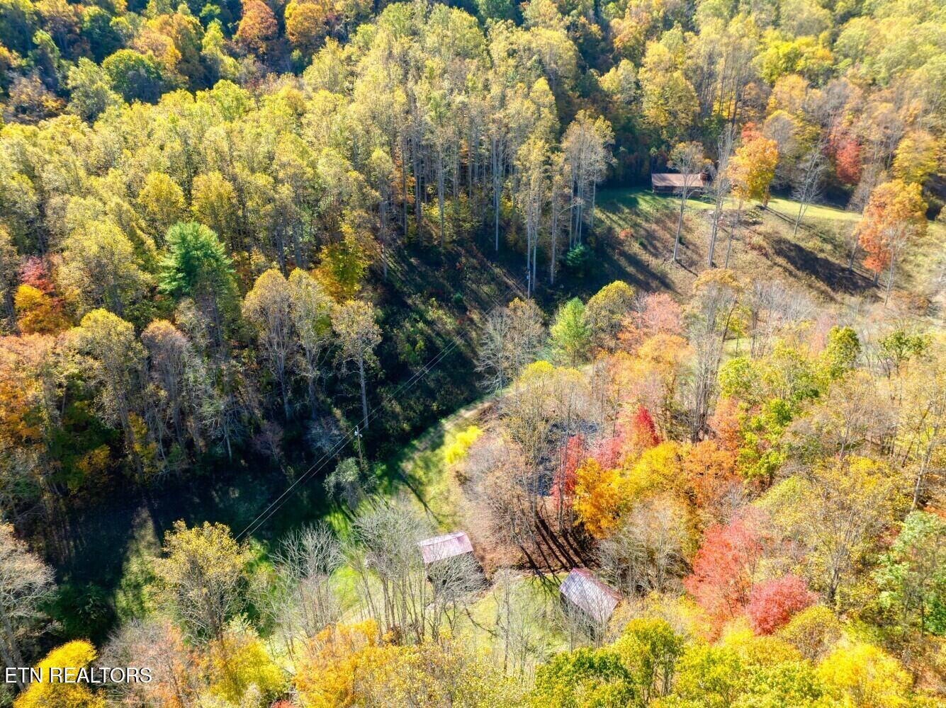 193 Smith Branch Road Roan Mountain, TN 37687 - Photo 7 of 46 680f91be97df3